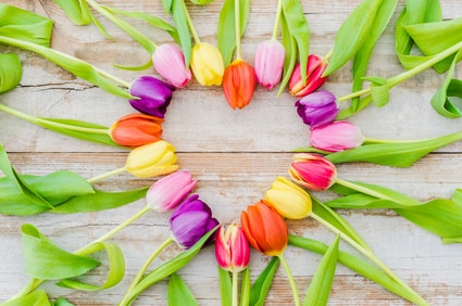 Liebe sex und dating christlichen kommentar
