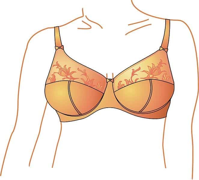 Bra shapes: full cup