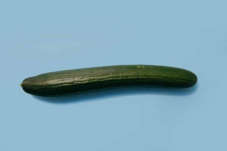 In 7 Schritten zum perfekten Dildo – So finden Sie den richtigen Lustbringer 3 In 7 Schritten den richtigen Dildo finden - Der Gurkentest