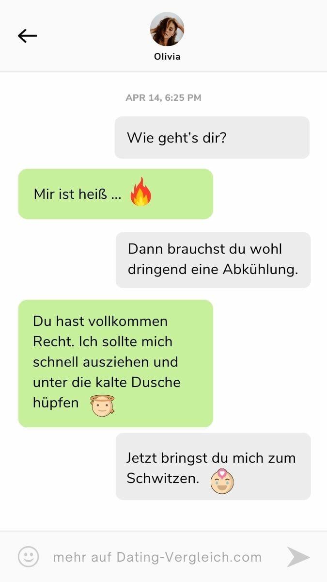  zweideutige Bilder in seinem Kopf