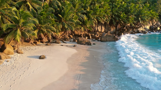 Die Seychellen sind der Himmel auf Erden für Verliebte. Die Strände der Seychellen sind vermutlich die meistfotografierten der Welt