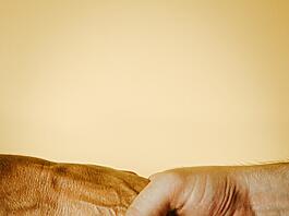 Online Betrugsopfer geworden? Hier sind Organisationen, Tools und Hotlines für eine Soforthilfe (inkl. Leitfaden)