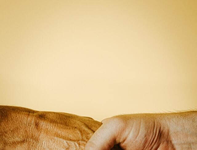 Online Betrugsopfer geworden? Hier sind Organisationen, Tools und Hotlines für eine Soforthilfe (inkl. Leitfaden)