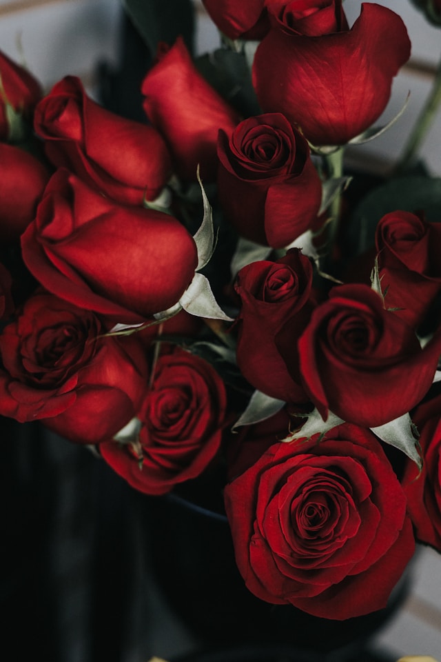 Romantische Überraschungen: Wie Blumen Gefühle ausdrücken